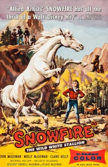 Snowfire