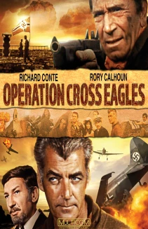 Operation Cross Eagles