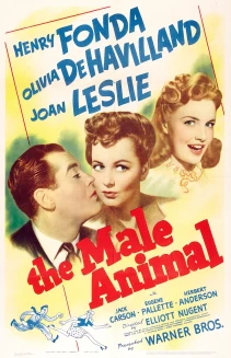 The Male Animal